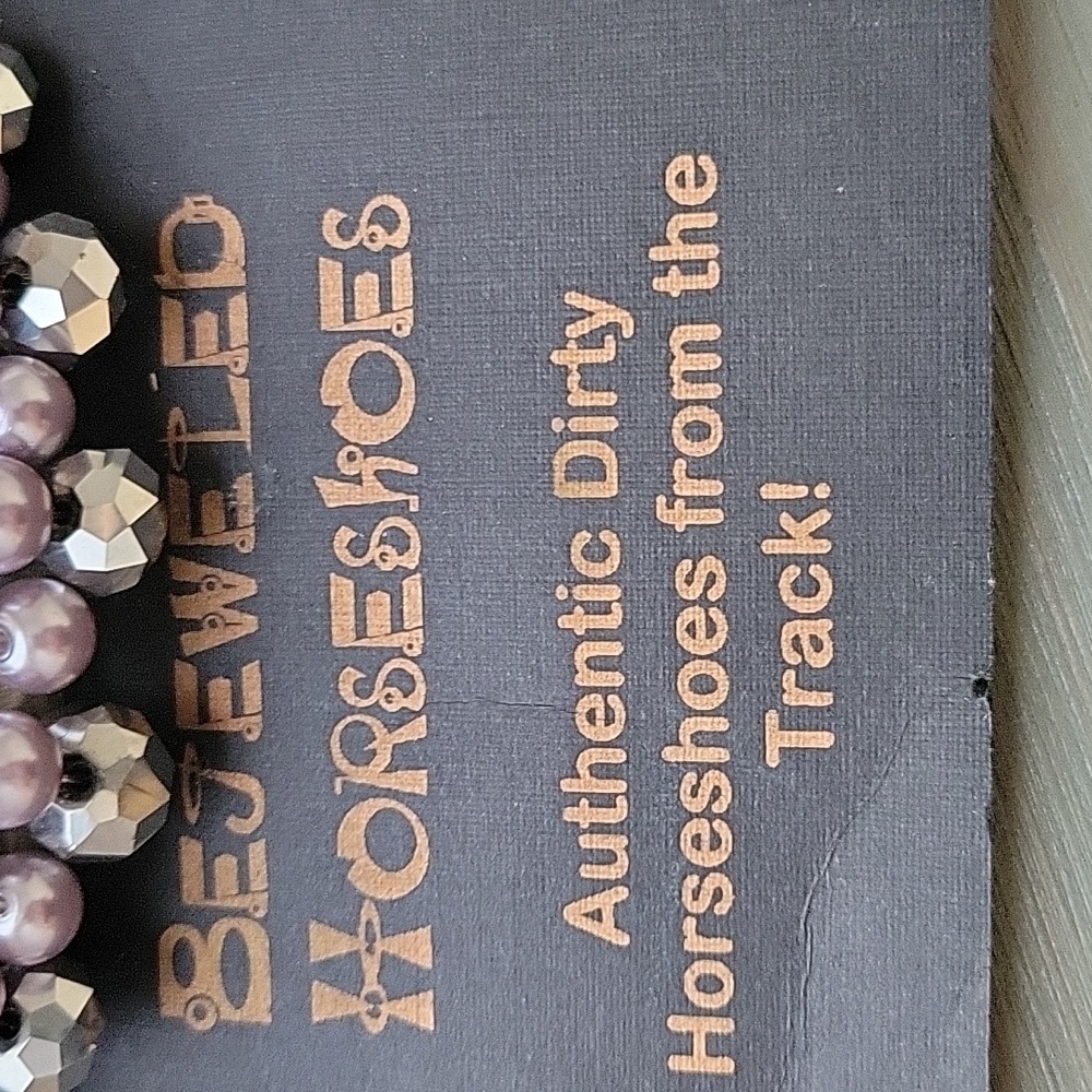 Bejeweled Horseshoe with Authentic Dirty Track Horseshoe - Picture 4 of 8